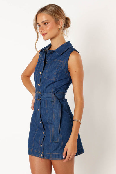 Ralie Mini Dress Denim